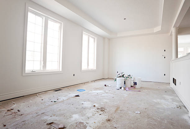 Best Black Mold Removal  in USA